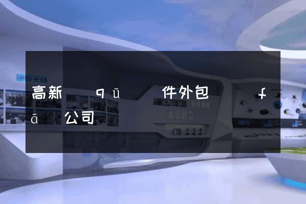 高新區(qū)軟件外包開發(fā)公司