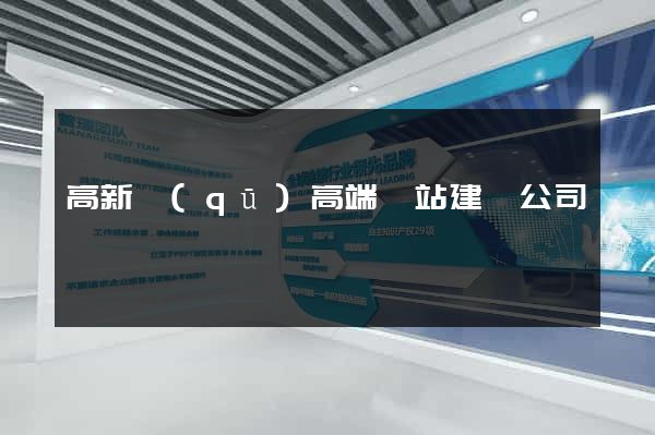 高新區(qū)高端網站建設公司