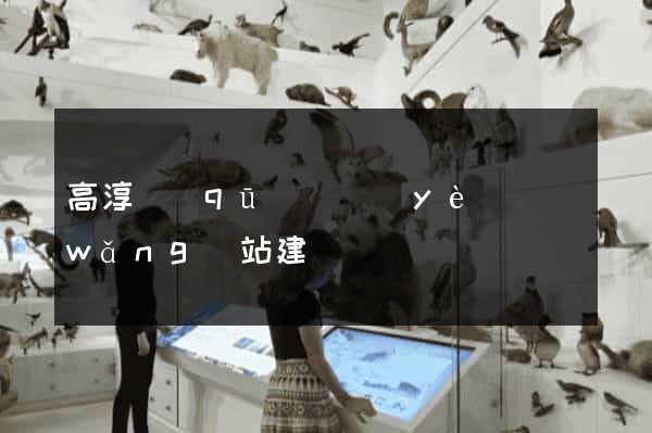 高淳區(qū)專業(yè)網(wǎng)站建設