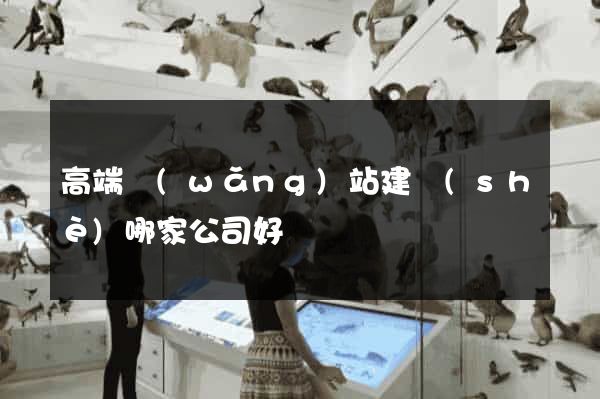 高端網(wǎng)站建設(shè)哪家公司好