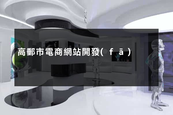 高郵市電商網站開發(fā)