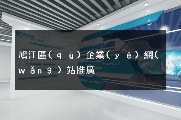 鳩江區(qū)企業(yè)網(wǎng)站推廣