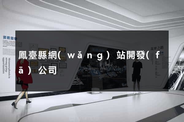 鳳臺縣網(wǎng)站開發(fā)公司