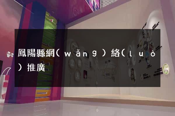 鳳陽縣網(wǎng)絡(luò)推廣