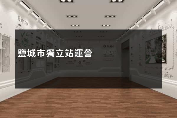 鹽城市獨立站運營