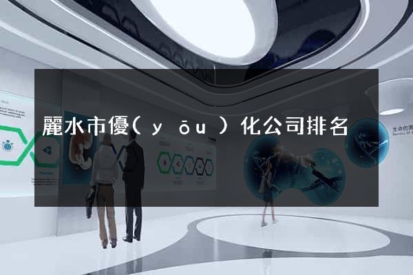麗水市優(yōu)化公司排名