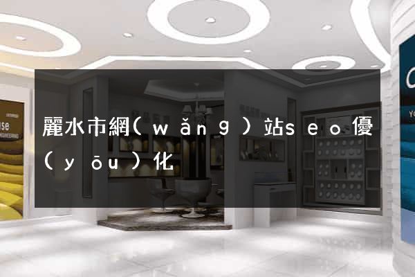 麗水市網(wǎng)站seo優(yōu)化