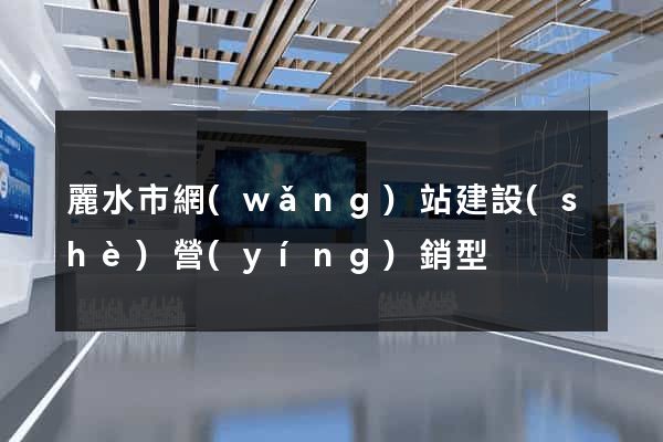 麗水市網(wǎng)站建設(shè)營(yíng)銷型