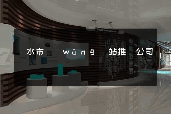 麗水市網(wǎng)站推廣公司
