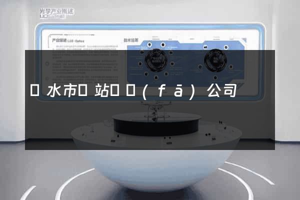 麗水市網站開發(fā)公司