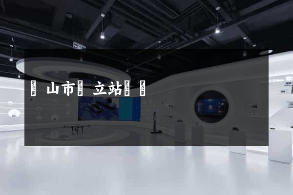 黃山市獨立站運營