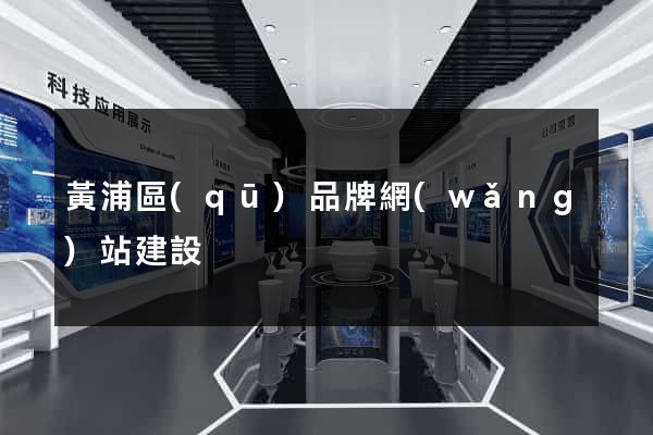 黃浦區(qū)品牌網(wǎng)站建設
