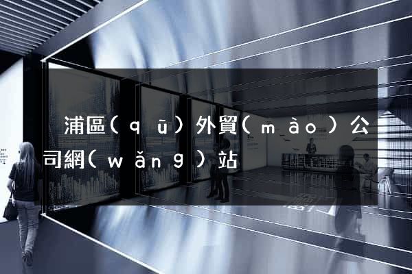 黃浦區(qū)外貿(mào)公司網(wǎng)站