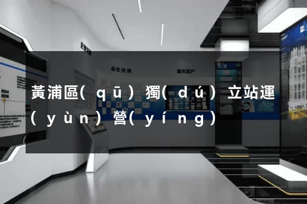 黃浦區(qū)獨(dú)立站運(yùn)營(yíng)