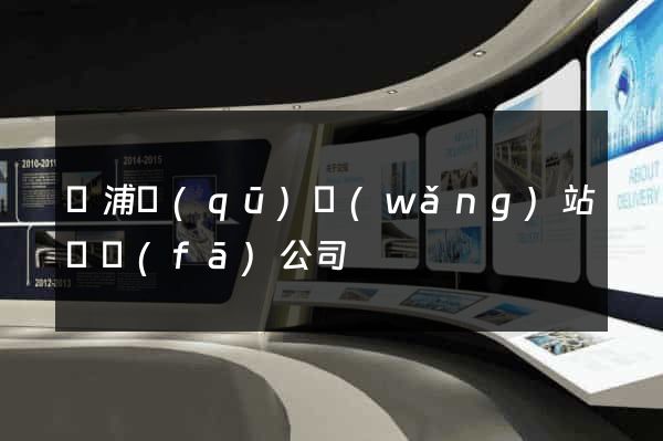 黃浦區(qū)網(wǎng)站開發(fā)公司