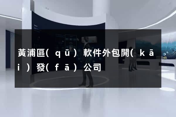 黃浦區(qū)軟件外包開(kāi)發(fā)公司