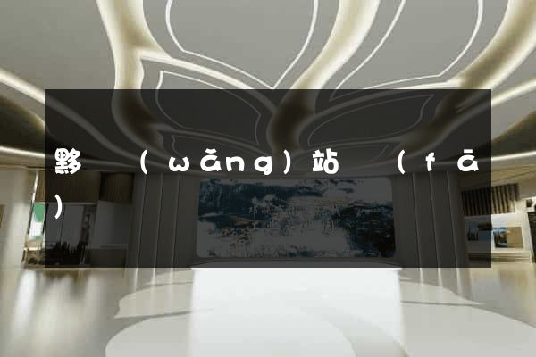 黟縣網(wǎng)站開發(fā)
