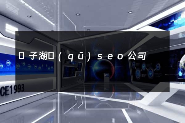 龍子湖區(qū)seo公司