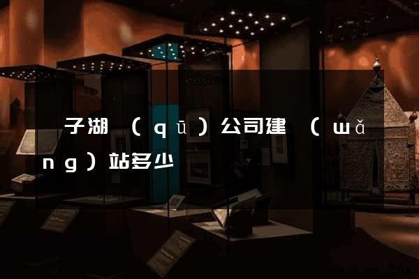龍子湖區(qū)公司建網(wǎng)站多少錢