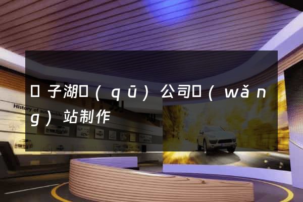 龍子湖區(qū)公司網(wǎng)站制作