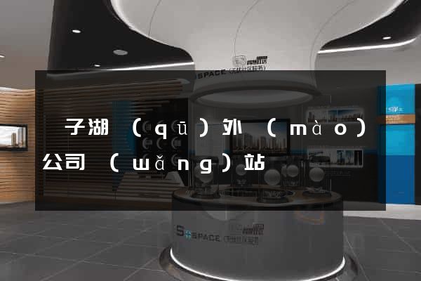龍子湖區(qū)外貿(mào)公司網(wǎng)站