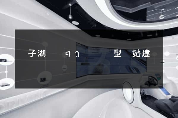 龍子湖區(qū)營銷型網站建設
