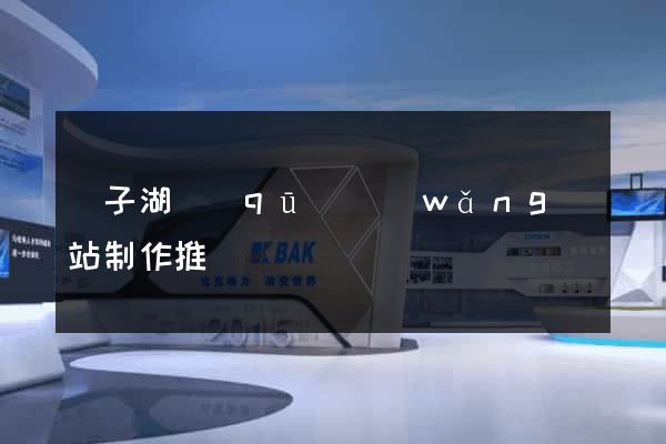 龍子湖區(qū)網(wǎng)站制作推廣