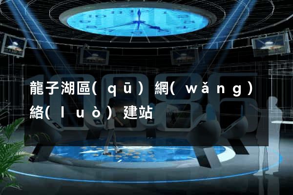 龍子湖區(qū)網(wǎng)絡(luò)建站