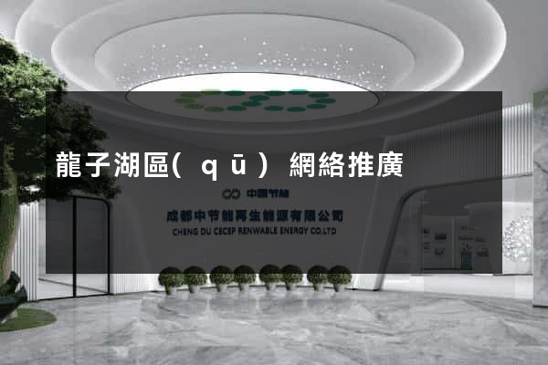龍子湖區(qū)網絡推廣