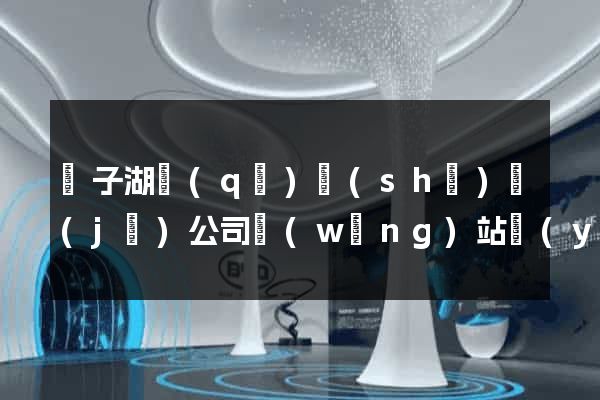 龍子湖區(qū)設(shè)計(jì)公司網(wǎng)站優(yōu)化