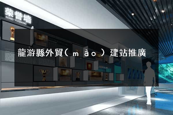 龍游縣外貿(mào)建站推廣
