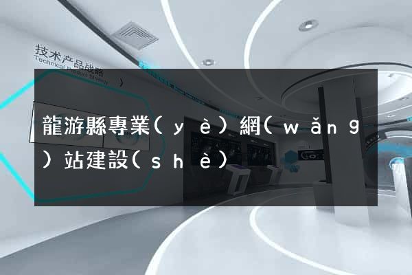 龍游縣專業(yè)網(wǎng)站建設(shè)