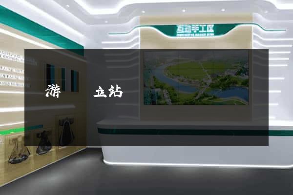 龍游縣獨立站運營