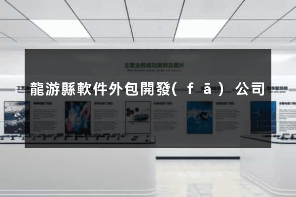 龍游縣軟件外包開發(fā)公司