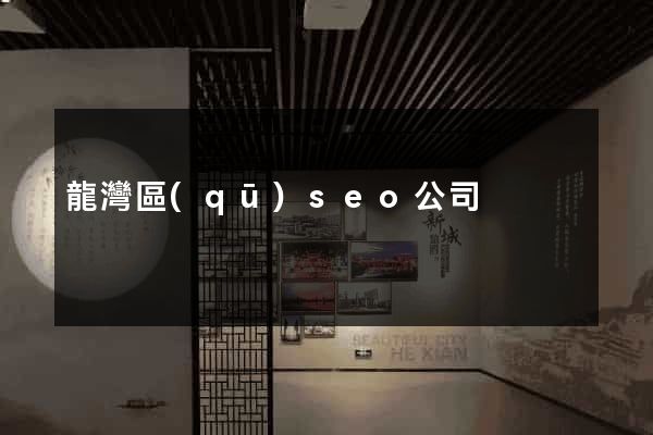 龍灣區(qū)seo公司
