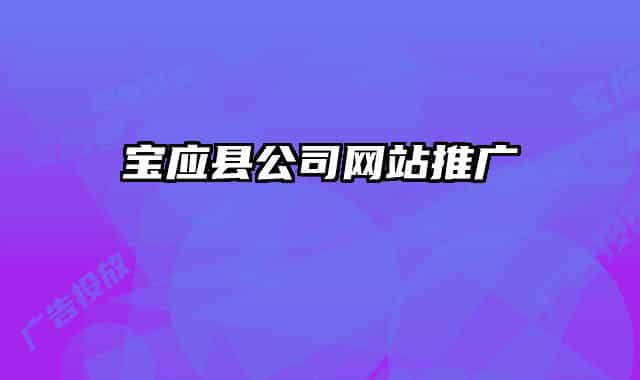 寶應(yīng)縣公司網(wǎng)站推廣
