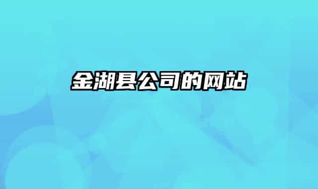 金湖縣公司的網(wǎng)站