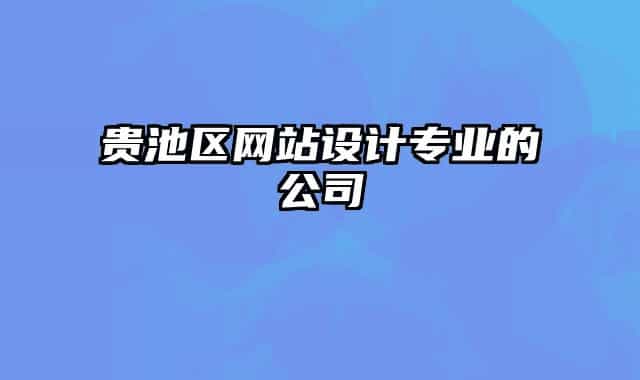 貴池區(qū)網(wǎng)站設(shè)計專業(yè)的公司