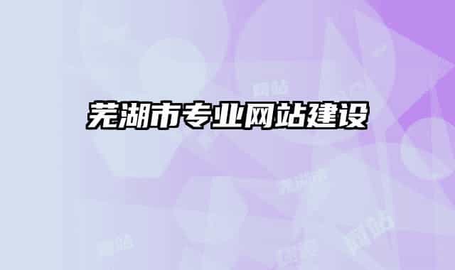 蕪湖市專業(yè)網站建設