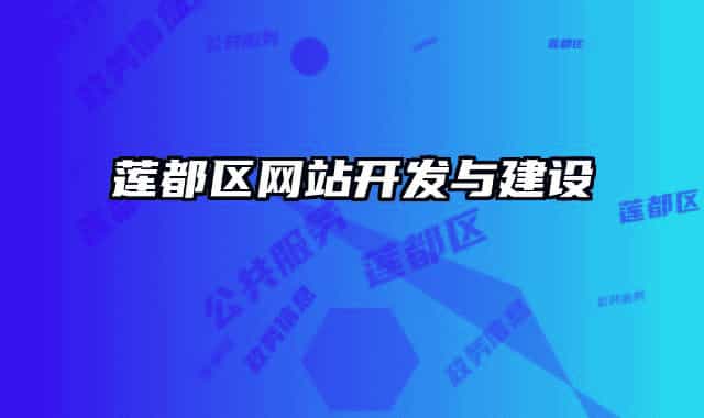 蓮都區(qū)網(wǎng)站開發(fā)與建設(shè)