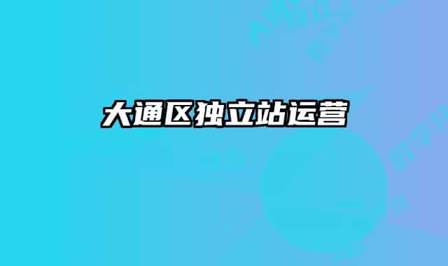大通區(qū)獨立站運營