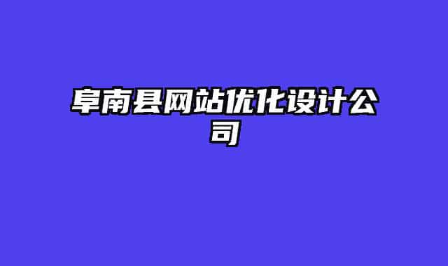 阜南縣網(wǎng)站優(yōu)化設(shè)計(jì)公司