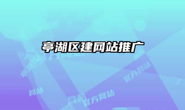 亭湖區(qū)建網站推廣