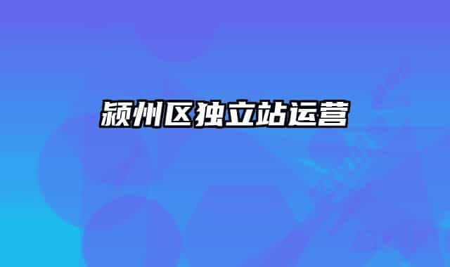 潁州區(qū)獨立站運營