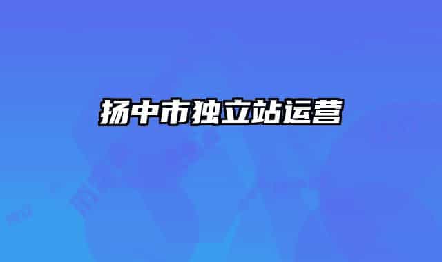 揚(yáng)中市獨(dú)立站運(yùn)營(yíng)