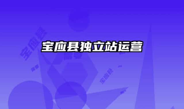 寶應(yīng)縣獨(dú)立站運(yùn)營(yíng)
