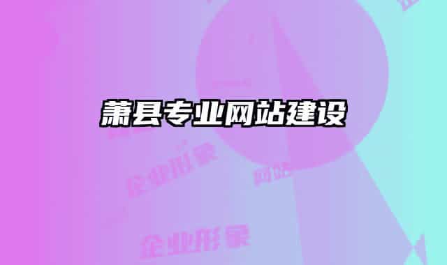 蕭縣專業(yè)網(wǎng)站建設(shè)