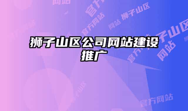 獅子山區(qū)公司網(wǎng)站建設(shè)推廣