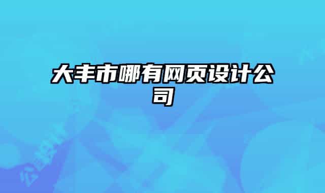 大豐市哪有網(wǎng)頁設(shè)計公司