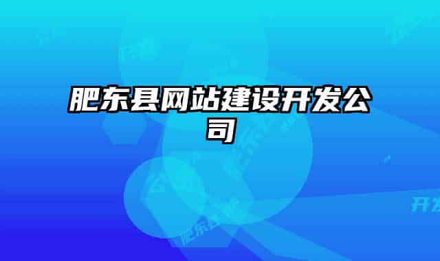 肥東縣網(wǎng)站建設(shè)開發(fā)公司
